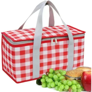 Collapsible Insulated Picnic & Beach Cooler Bag